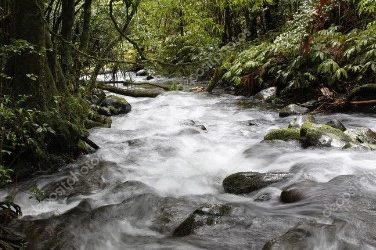 Un cours d&rsquo;eau traverse ma propriété : quels sont mes droits ?