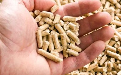 Pellets, fioul : pourquoi acheter dès maintenant de quoi vous chauffer cet hiver peut vous faire économiser