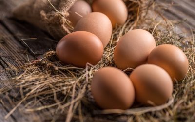 Cholestérol : peut-on manger un œuf chaque jour ?