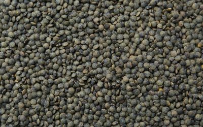 Cet aliment est un allié insoupçonné pour faire baisser le cholestérol
